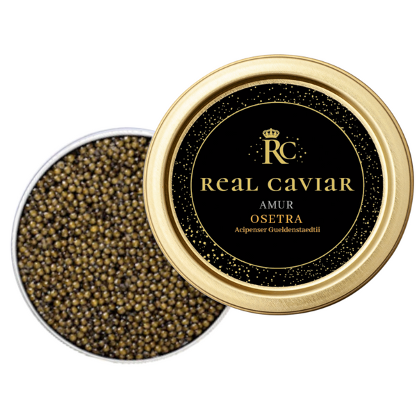 Amur Osetra Real Caviar | Amur Osetra Real Caviar