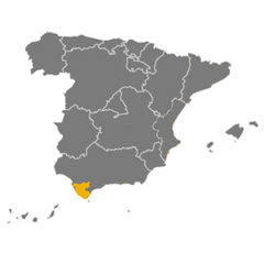 Almadraba Wild Blue Fin Tuna Belly (Otoro)  Super Frozen Spain Approx. 350g | Ventresca de Atun Rojo Salvaje de Almadraba ( Otoro ) Super Frozen Spain Approx. 350g