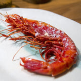Wild Carabinero 8-12 PC per 1 Kg (Spain - Frozen) | Carabinero Salvaje 8-12 Uds - 1 Kg (España - Congelado) - La despensa