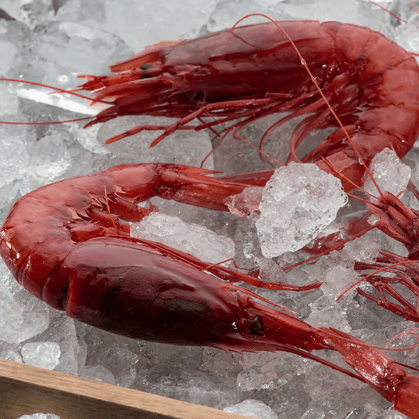 Prawns & Carabineros | Gambas y Carabineros