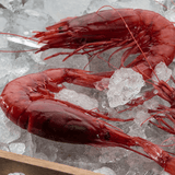Prawns An carabineros