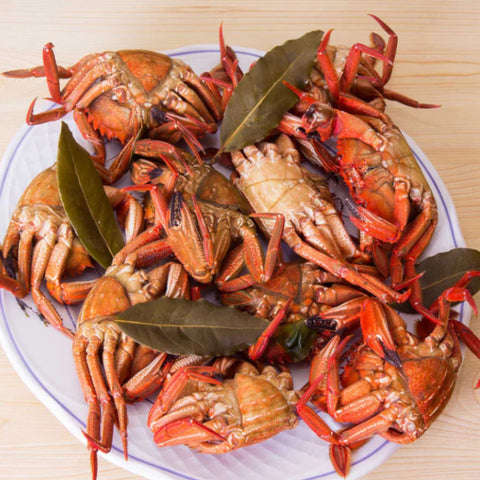 Velvet Swim Crab - Necora Galicia Fresh (Spain)