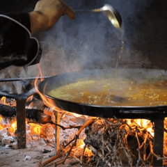 Vine Shoot  | Madera de Vid - Sarmiento