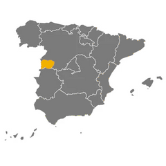 Iberian Acorn-fed Cured Tenderloin Marcial - Guijuelo | Lomito ibérico de bellota Marcial - Guijuelo