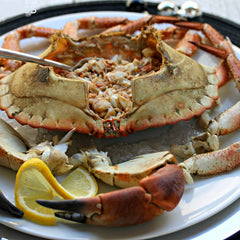 Brown Crab - Buey de Mar Galicia Fresh (Spain)