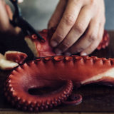 Frozen Cooked Octopus  Tentacles 6x250g Spain  | Tentáculos de Pulpo Cocidos Congelados 6x250g (España)