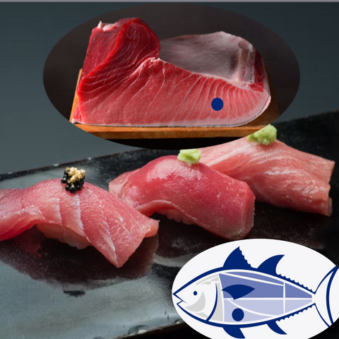 Almadraba Wild Blue Fin Tuna Belly (Otoro)  Super Frozen Spain Approx. 350g | Ventresca de Atun Rojo Salvaje de Almadraba ( Otoro ) Super Frozen Spain Approx. 350g